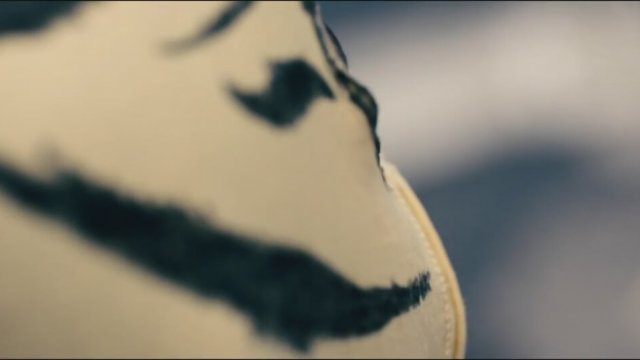 Tiger Boy Fragman