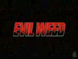 Evil Weed Fragman