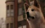 Hachiko: A Dog\'s Tale Fragman